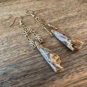 Drusy Indonesian Fossil Coral Earrings with Matte Gold Chain and Ear Wires